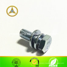 Carbon Steel Hex Head Combined Screw with Washer M6X16